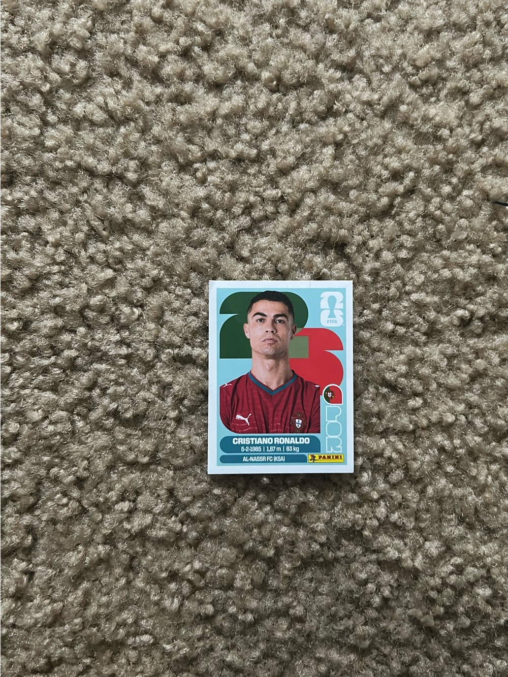 Panini Soccer Trading Card -  cr7
